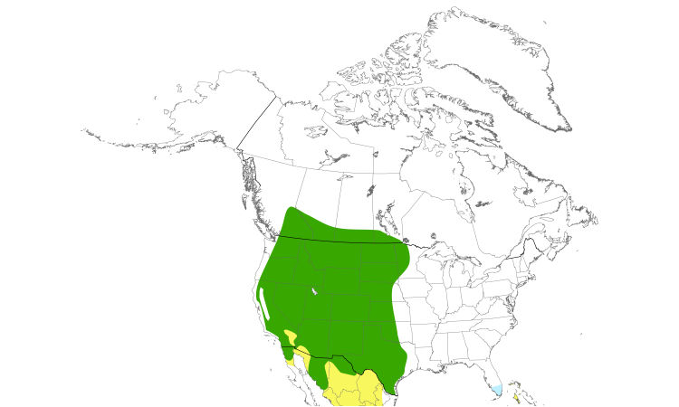 Range Map (North): Western Kingbird