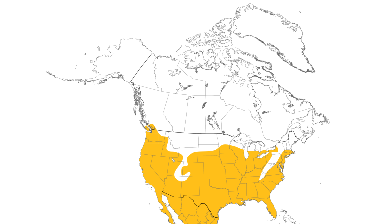 Range Map (North): Barn Owl