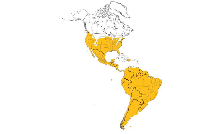 Range Map (Americas): Barn Owl