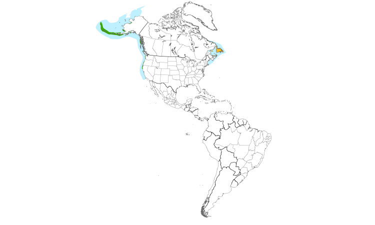 Range Map (Americas): Common Murre