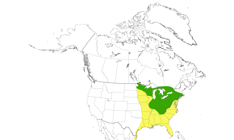 Range Map (North): Golden-winged Warbler
