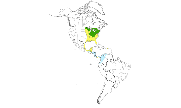 Range Map (Americas): Golden-winged Warbler