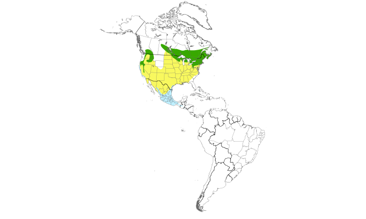 Range Map (Americas): Nashville Warbler