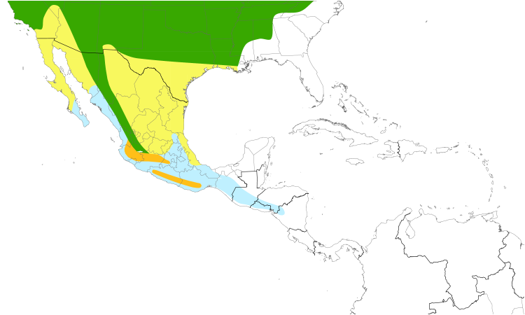 Range Map (Central): Warbling Vireo