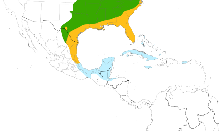 Range Map (Central): White-eyed Vireo