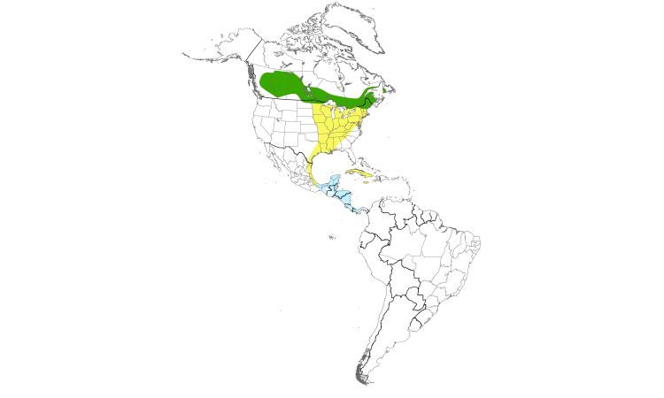 Range Map (Americas): Philadelphia Vireo