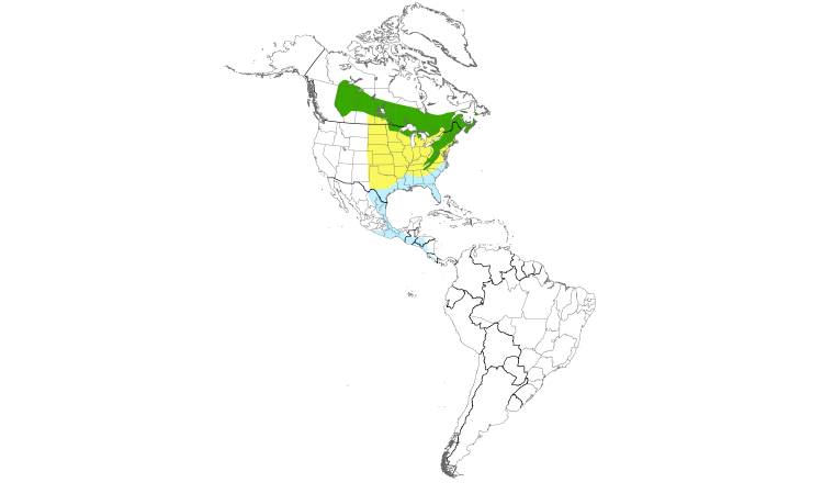 Range Map (Americas): Blue-headed Vireo