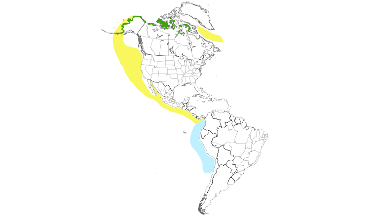 Range Map (Americas): Sabine's Gull