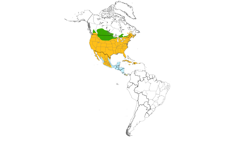 Carte de répartition  (Americas): Tourterelle triste