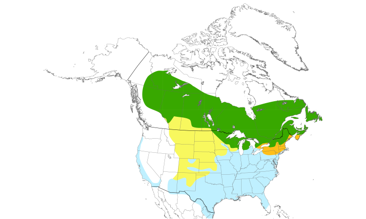 Range Map (North): White-throated Sparrow