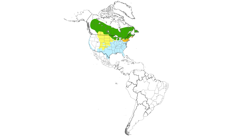 Range Map (Americas): White-throated Sparrow