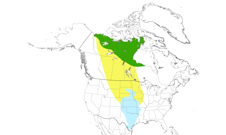 Range Map (North): Harris's Sparrow