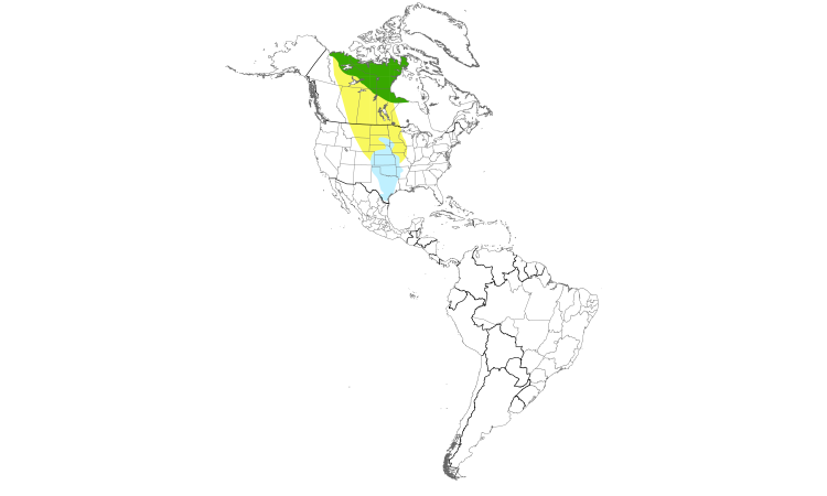 Range Map (Americas): Harris's Sparrow