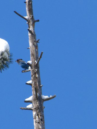Photo (21): Quiz Species