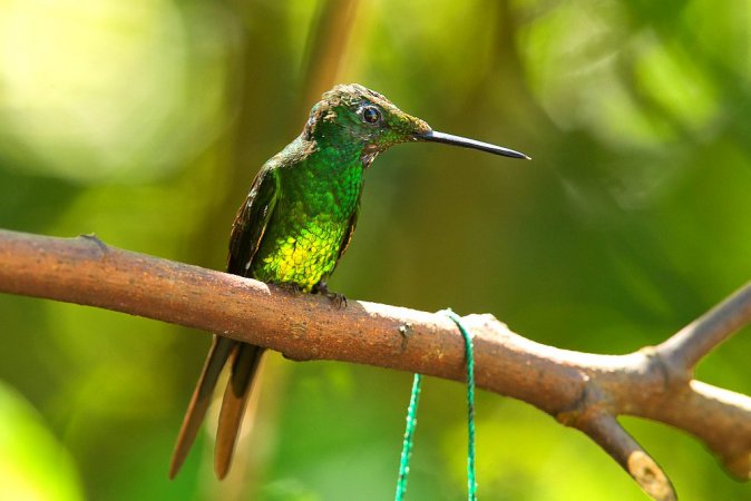 Photo (1): Empress Brilliant