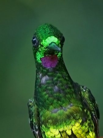 Photo (2): Empress Brilliant