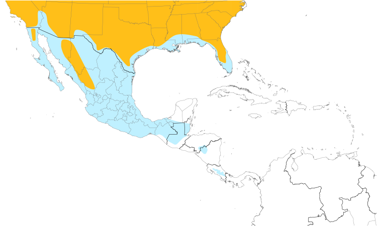 Range Map (Central): Cooper's Hawk