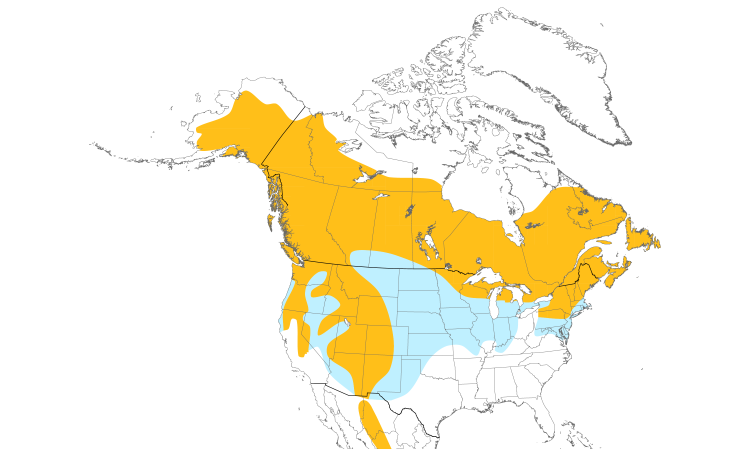 Range Map (North): Northern Goshawk