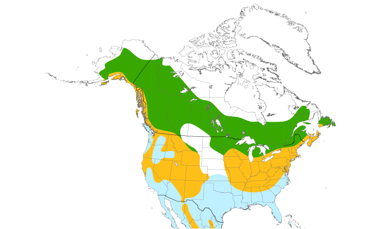 Range Map (North): Sharp-shinned Hawk