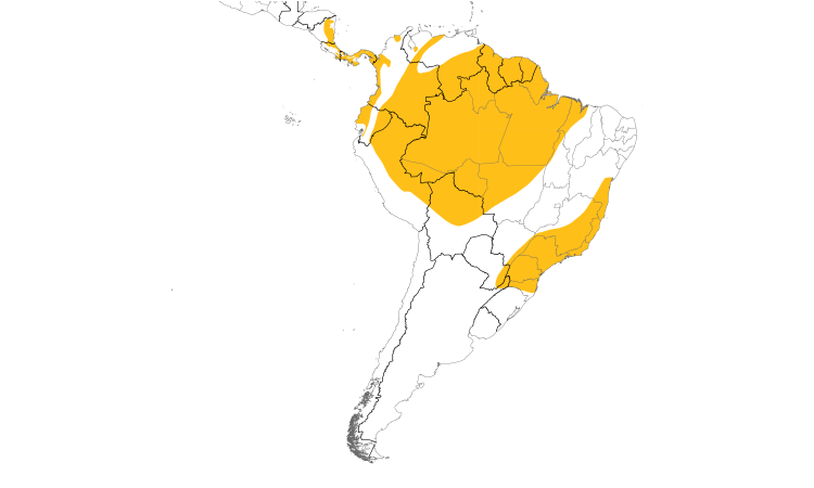 Range Map (South): Tiny Hawk
