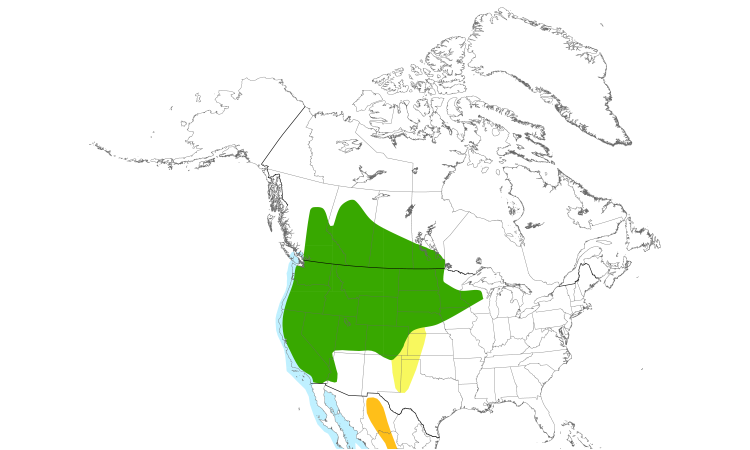 Range Map (North): Western Grebe