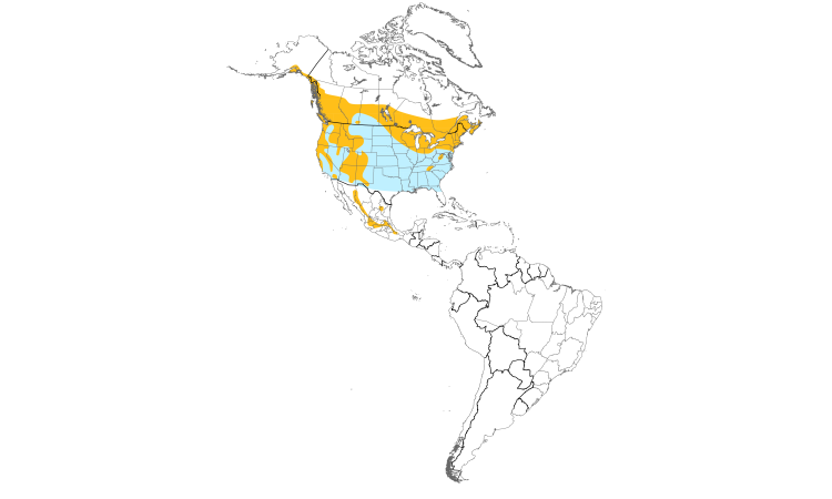 Range Map (Americas): Northern Saw-whet Owl