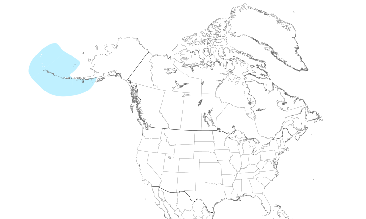 Range Map (North): Least Auklet