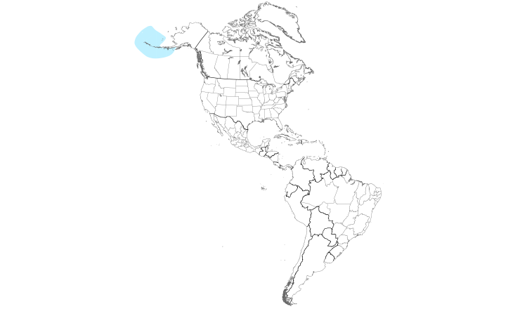 Range Map (Americas): Least Auklet