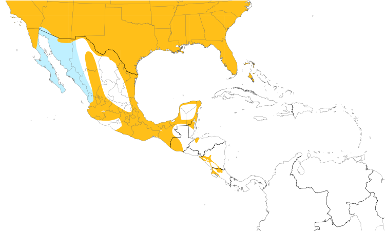 Range Map (Central): Red-winged Blackbird