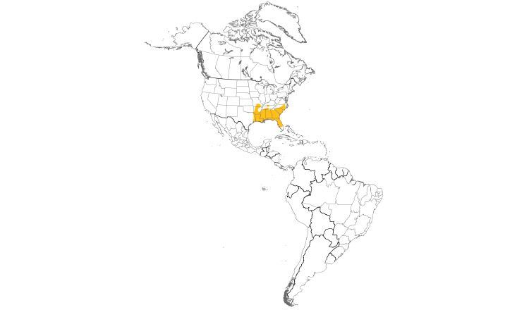 Range Map (Americas): Bachman's Sparrow