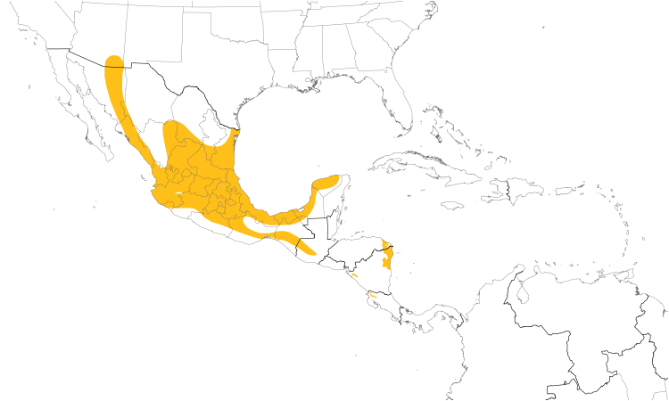 Range Map (Central): Botteri's Sparrow