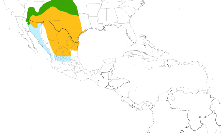 Range Map (Central): Cassin's Sparrow