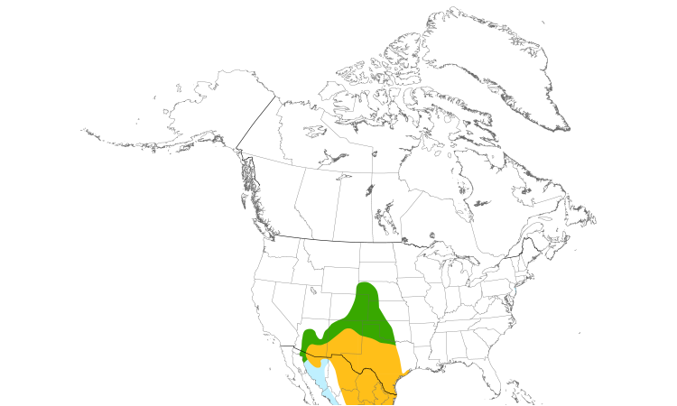 Range Map (North): Cassin's Sparrow