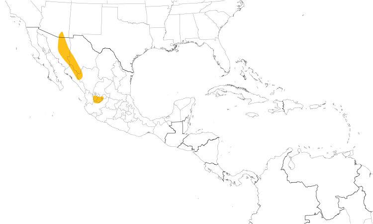 Range Map (Central): Five-striped Sparrow