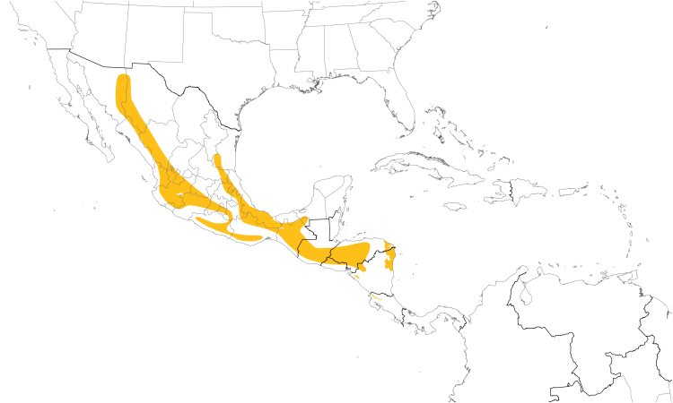 Range Map (Central): Rusty Sparrow