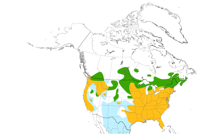 Range Map (North): Wood Duck