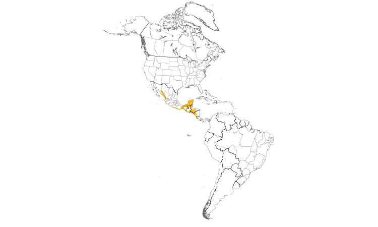 Range Map (Americas): White-fronted Parrot
