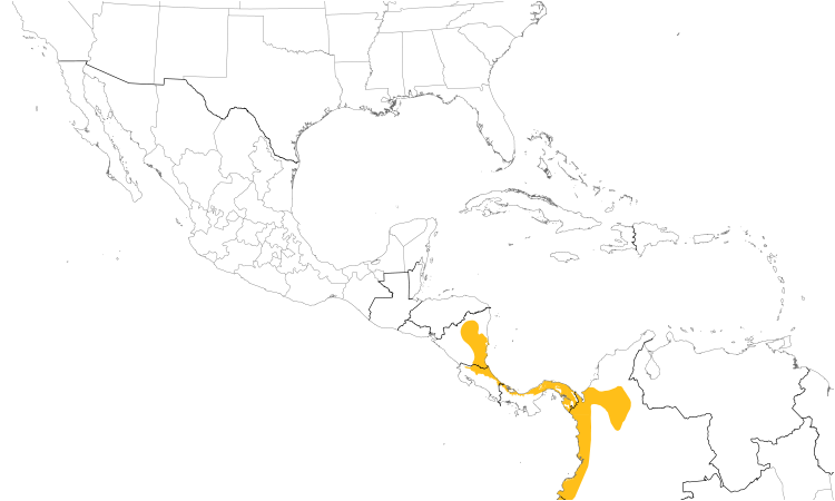 Range Map (Central): Blue-chested Hummingbird