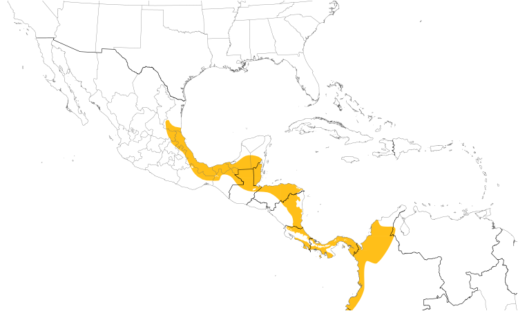 Range Map (Central): Red-lored Parrot