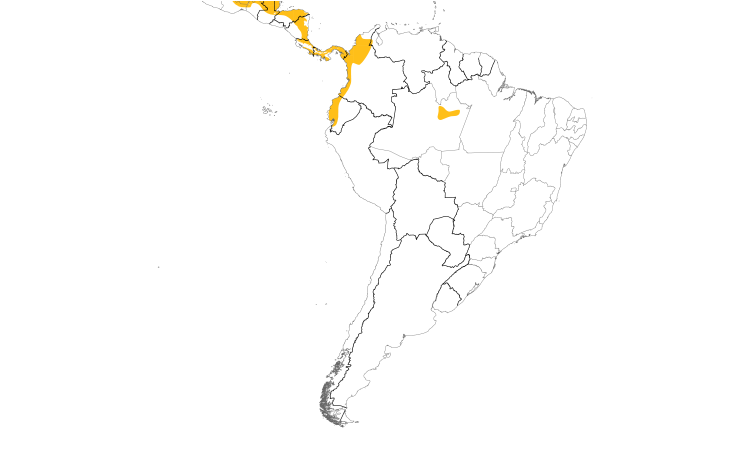 Range Map (South): Red-lored Parrot
