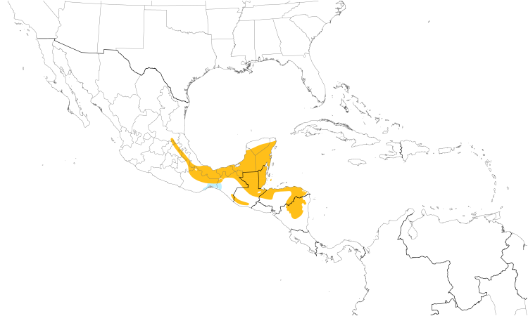Range Map (Central): White-bellied Emerald