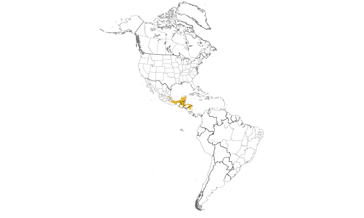 Range Map (Americas): White-bellied Emerald
