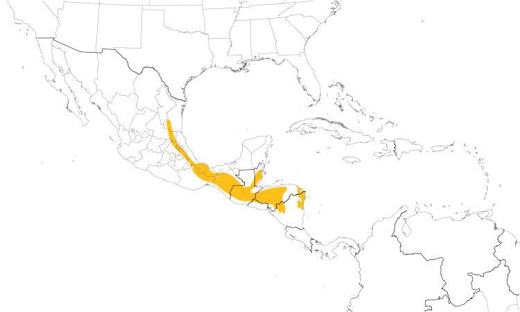 Range Map (Central): Azure-crowned Hummingbird