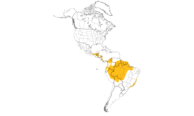 Range Map (Americas): Mealy Parrot