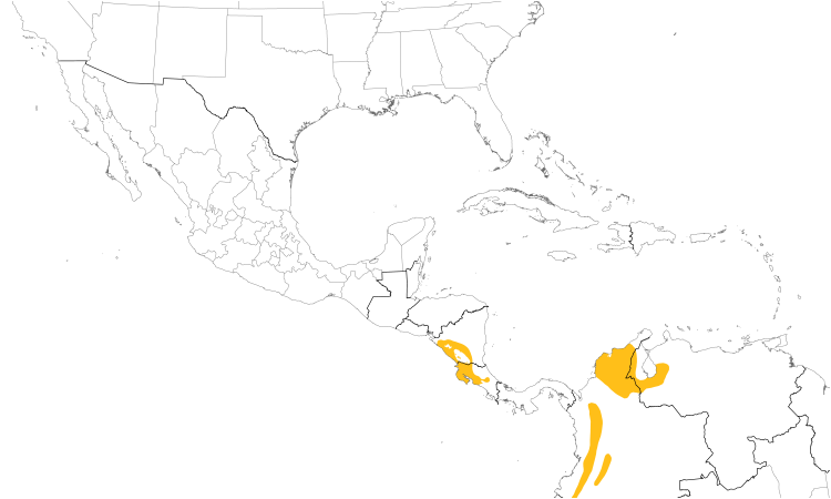 Range Map (Central): Steely-vented Hummingbird