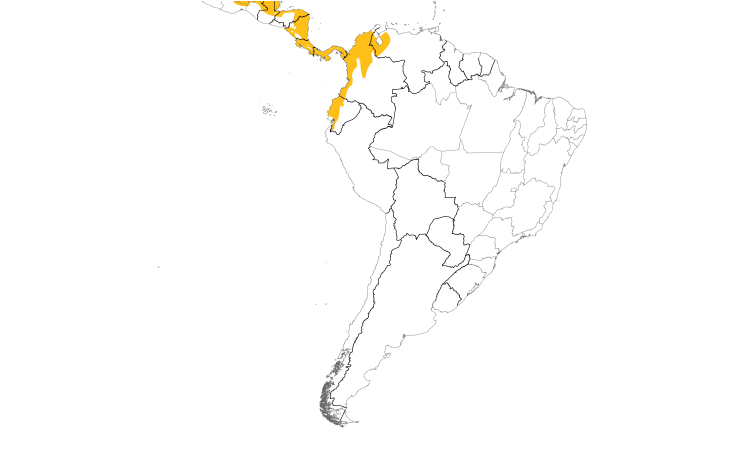 Range Map (South): Rufous-tailed Hummingbird