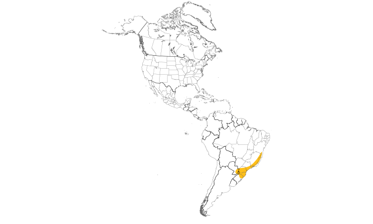 Range Map (Americas): Vinaceous-breasted Parrot