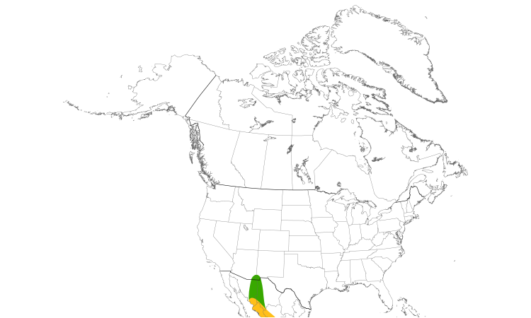 Range Map (North): Violet-crowned Hummingbird