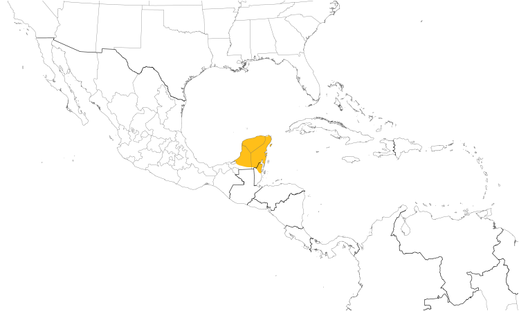 Range Map (Central): Yellow-lored Parrot