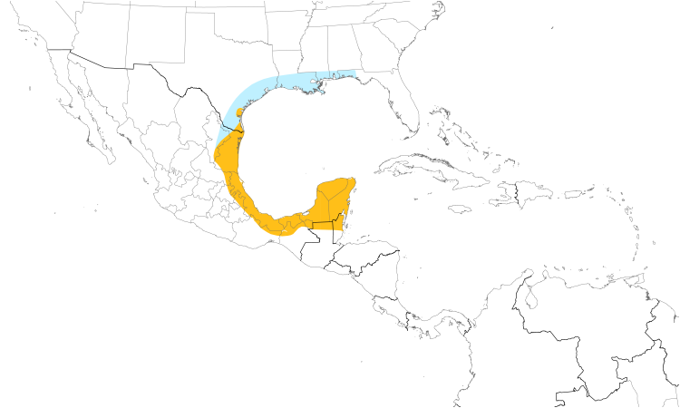 Range Map (Central): Buff-bellied Hummingbird